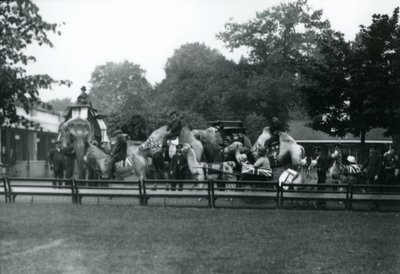 Riding Animals Bedecked for the Peace Day Celebrations, 19th July 1919 by Frederick William Bond